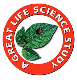 Great Science Adventures Life Science Great Science Adventures Life Science