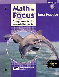 Worksheets Math In Focus Worksheets math in focus 3a worksheets course 3 grade 8 lamp post homeschool