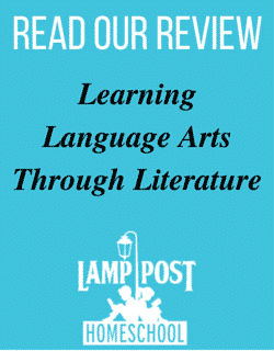 literature review on learning through play literature review on learning through play
