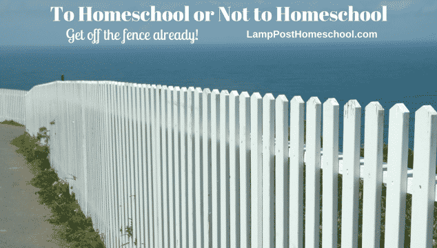 Homeschooling: What Are You Waiting For?